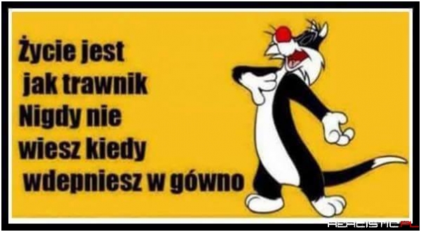 Życie jest jak trawnik...