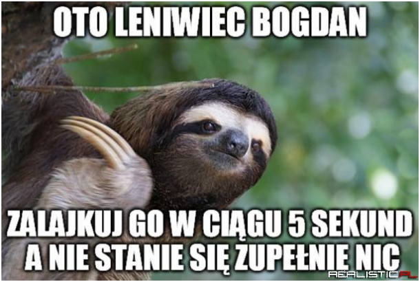 Leniwiec Bogdan