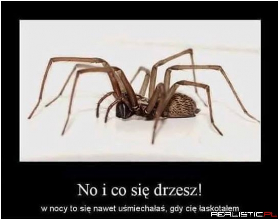 No i co się drzesz ;)
