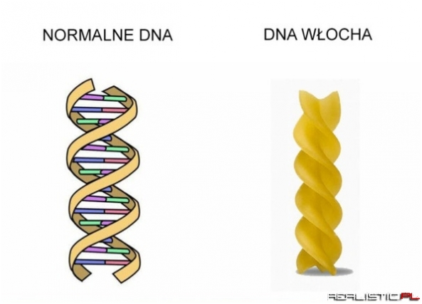 Włoskie DNA