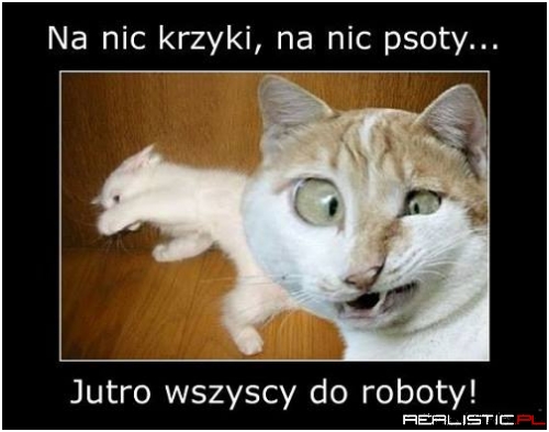 Niestety...