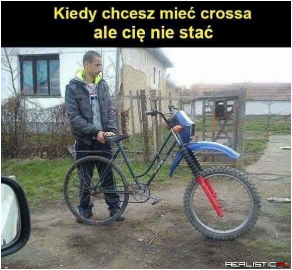 Piękna bestia!