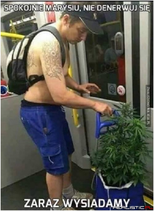 Spokojnie Marysiu ;)