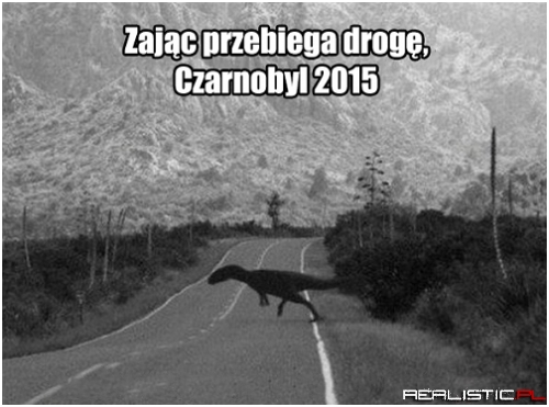 Czarnobyl 2015