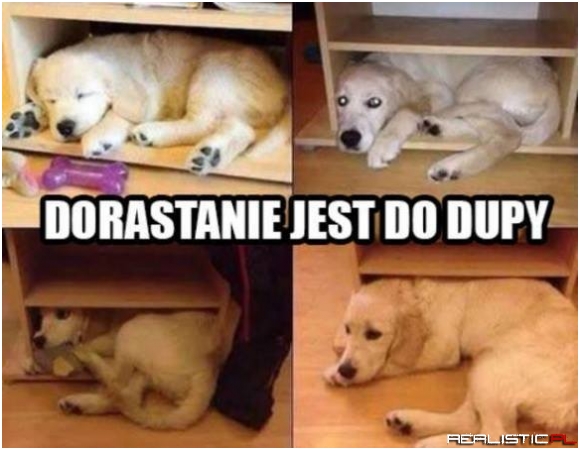 Dorastanie...