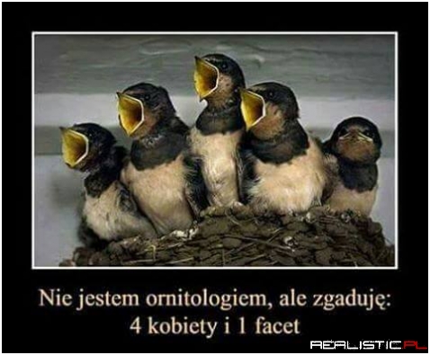 Nie inaczej...