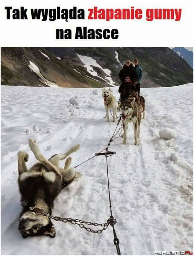 Złapanie gumy ;)