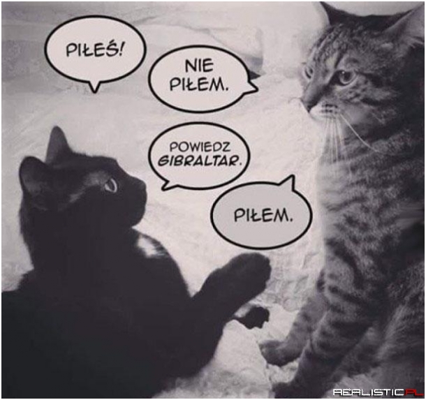 Lepiej się przyznać