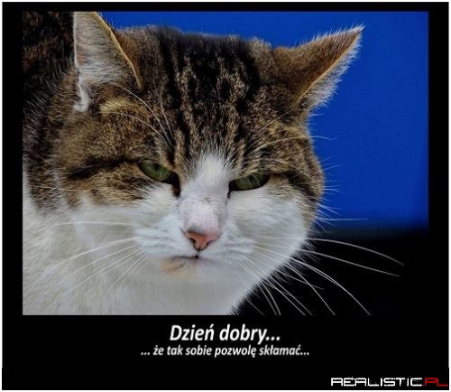 Dzień dobry