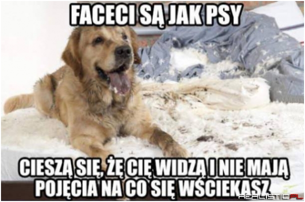 Faceci są jak psy