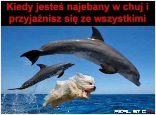Tak głupie, że aż śmieszne