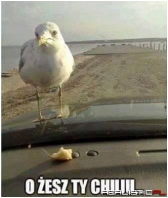Trochę się wkurzył ;)
