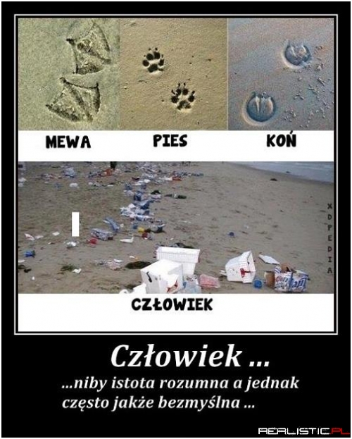 Człowiek...