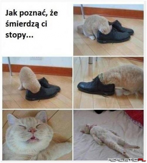 Dobry patent ;)