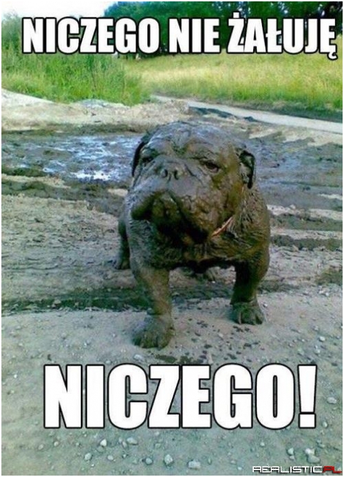Słodziak!