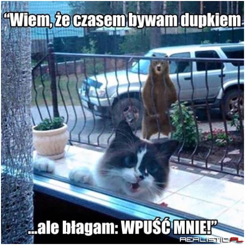 Wpuść mnie!