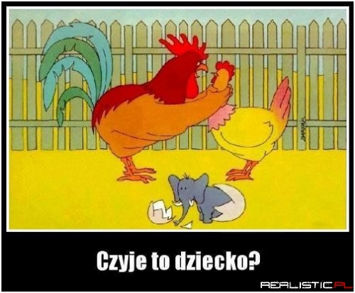 Zrobiła go w trąbę
