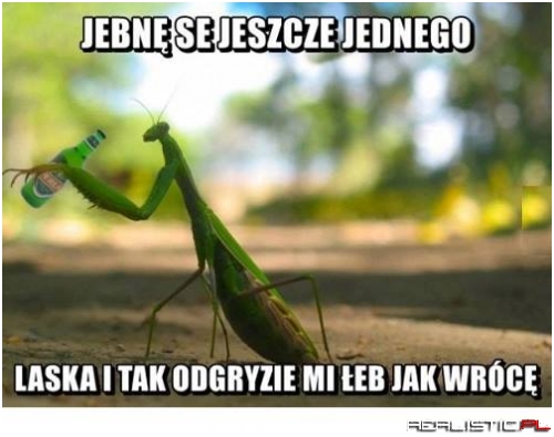 A co mi tam!