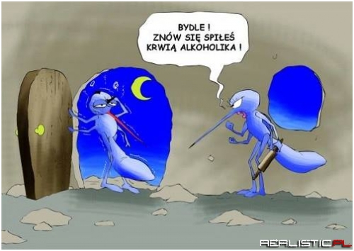 Co za bydle