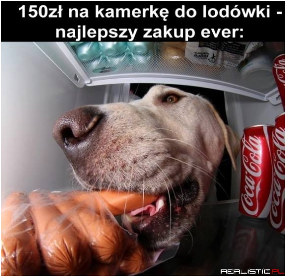 Dobry zakup ;)