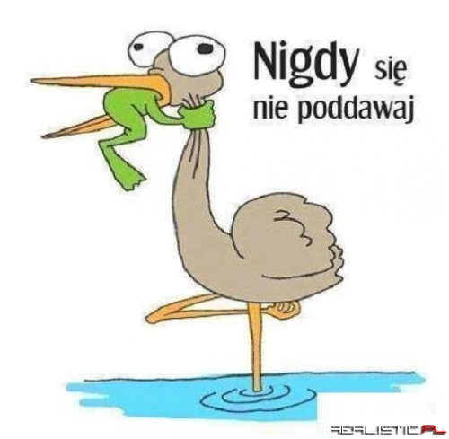 Dokładnie