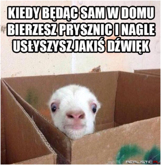 Dokładnie tak jest