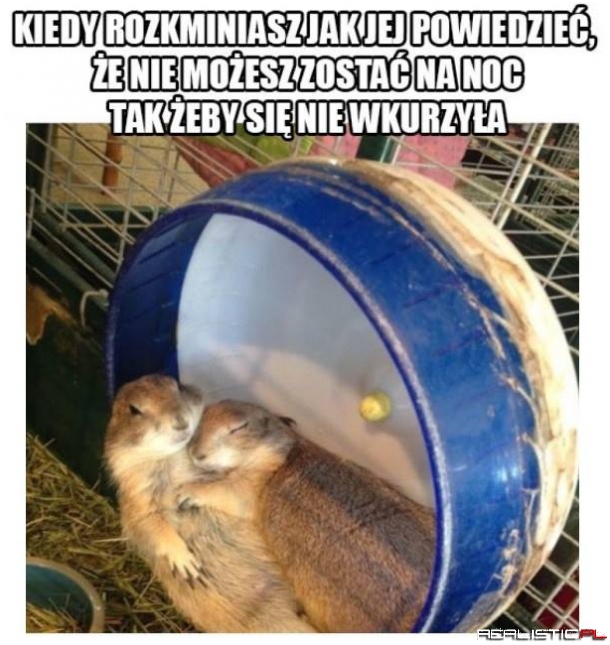 Gruba rozkmina