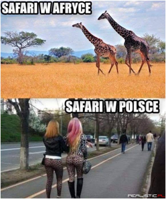 Jaki kraj takie żyrafy