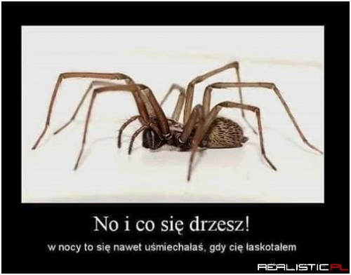 Mam takiego dziada w kuchni