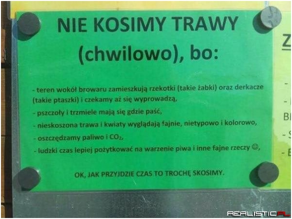 Nie kosimy!
