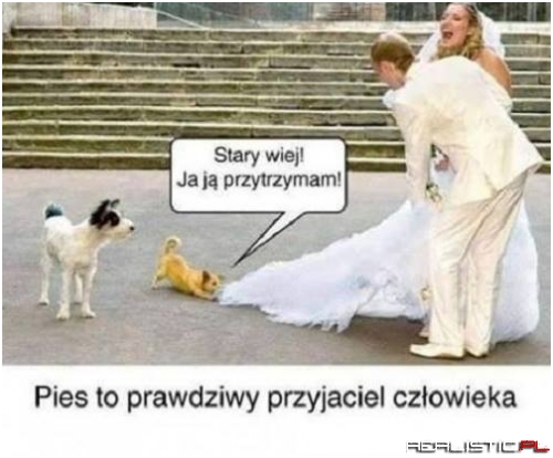 Prawdziwy przyjaciel...