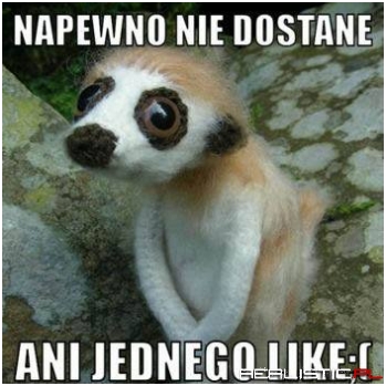 Słodziak