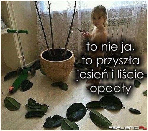 To nie ja!