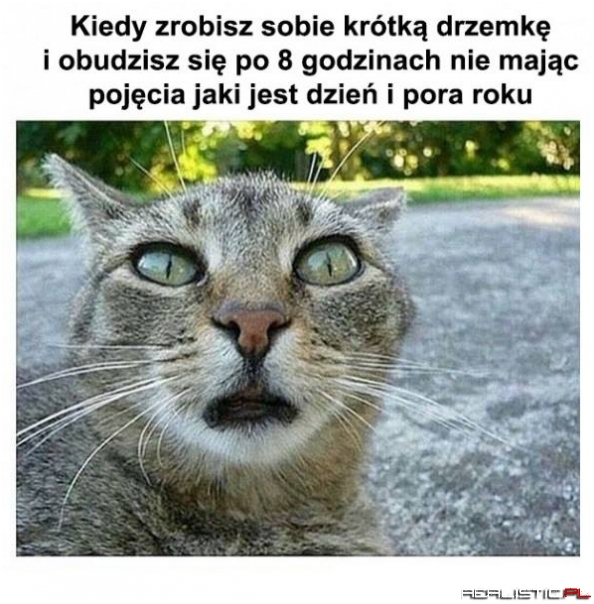 To uczucie...