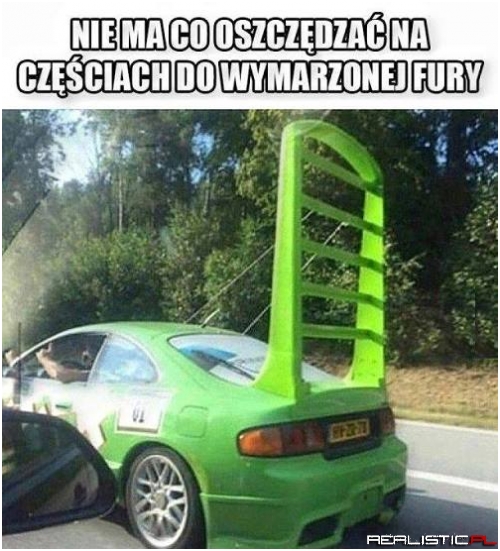 Wingo w prawdziwym życiu