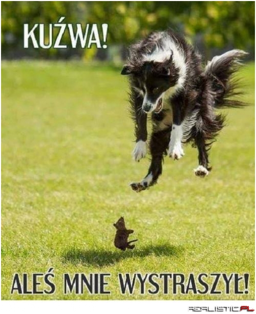 Aleś mnie wystraszył!