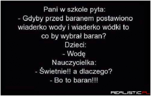 Bo to baran