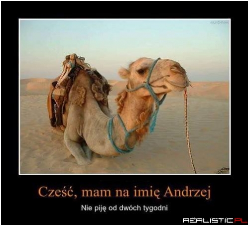 Co ten Andrzej ;)