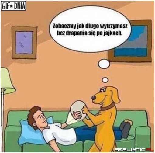Cwaniaczek ;)