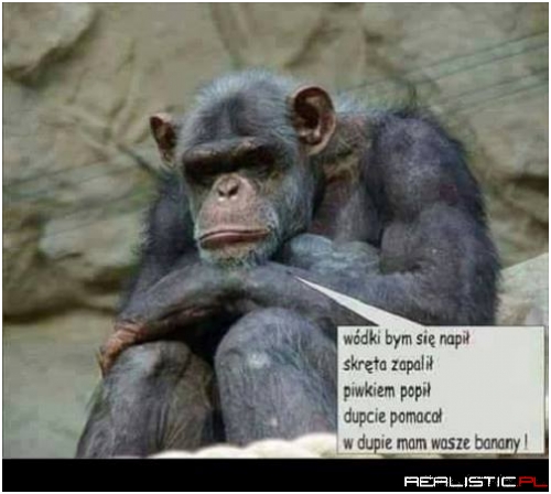 Ma gdzieś banany ;)