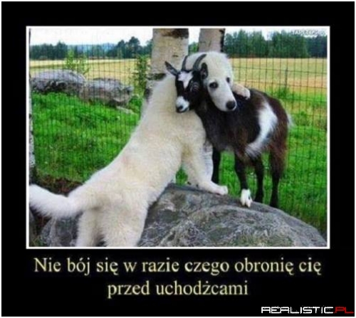 Nie bój się!