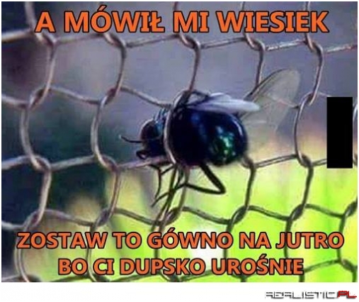 No i urosło ;)