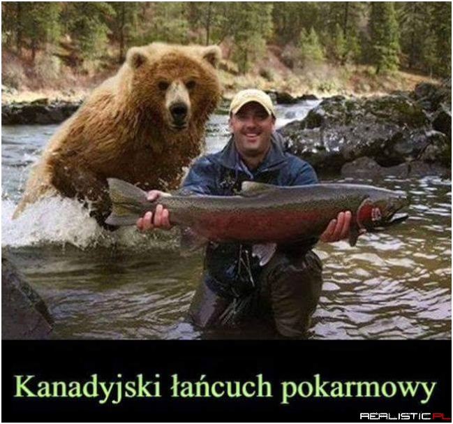 Ostatnie zdjęcie Romana