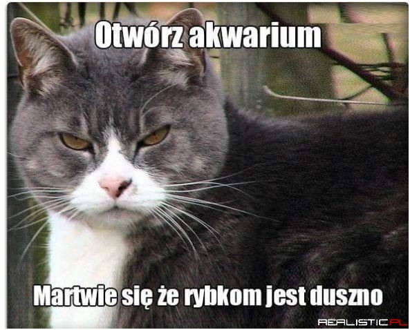 Otwórz akwarium xD