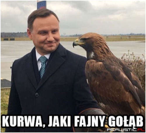 Prawie jak kaczka tylko dziób inny