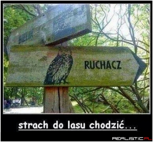 Strach do lasu chodzić