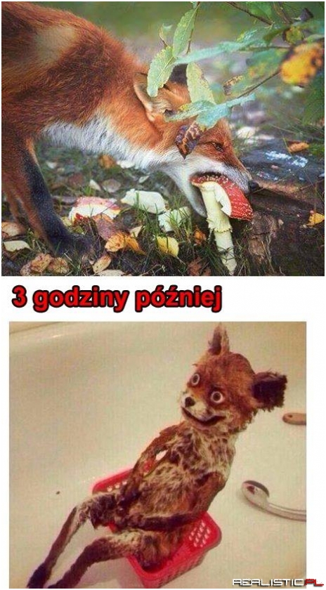 Taka sytuacja...