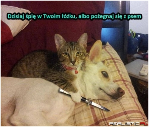 Taka sytuacja