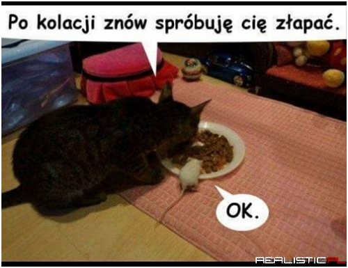 Tom i Jerry