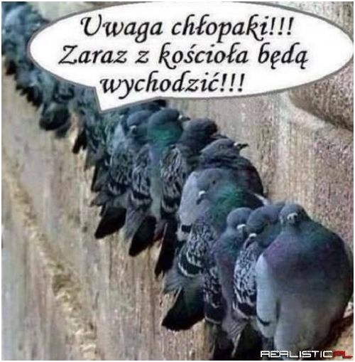 Uwaga chłopaki!